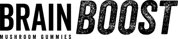 BrainBoost_Logo_Horizontal-Black.png